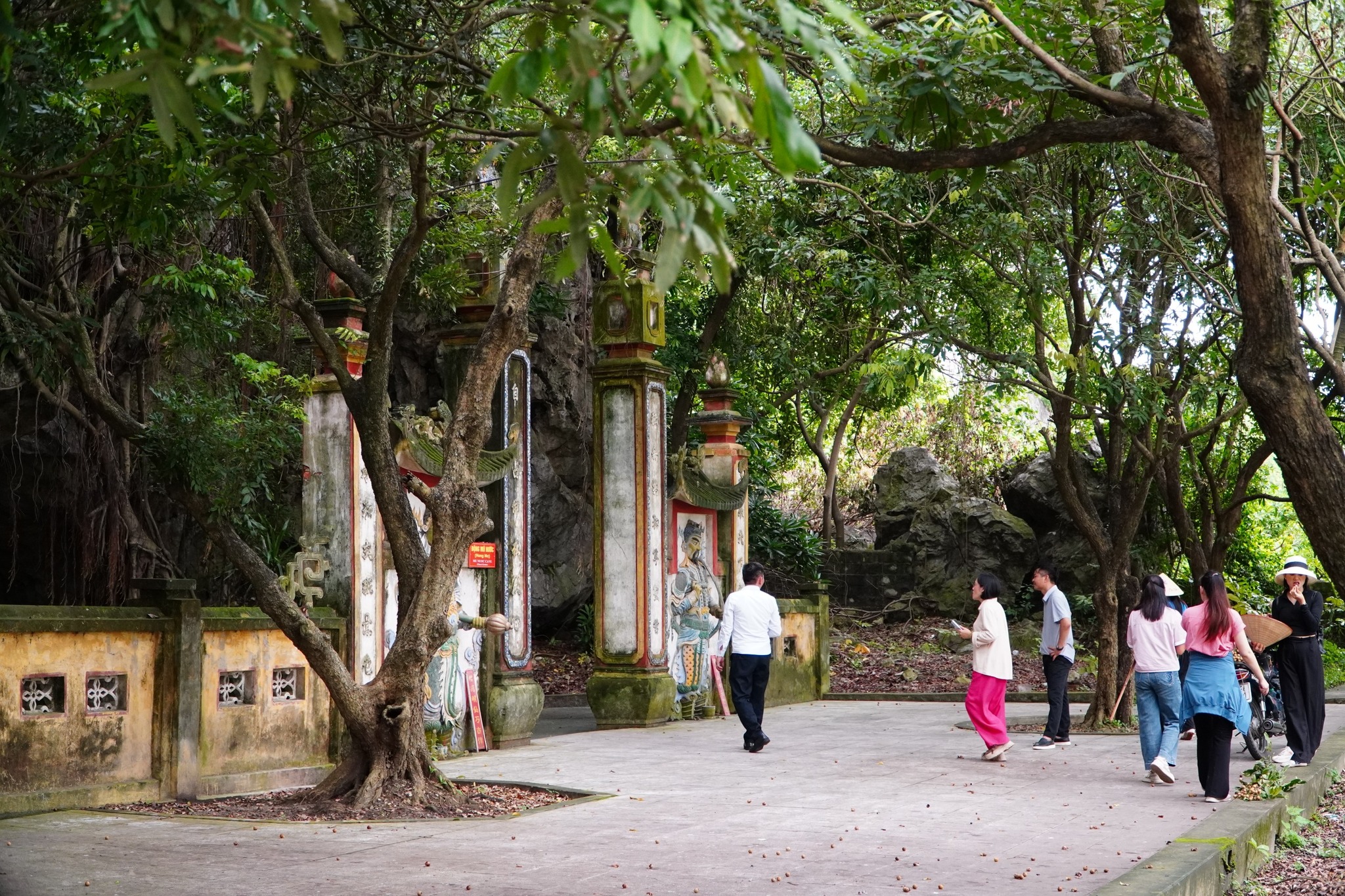 536268022 1318680906722248 7155435900261655144 N